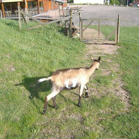Les Gites De La Bergerie Xonrupt-Longemer Bagian luar foto
