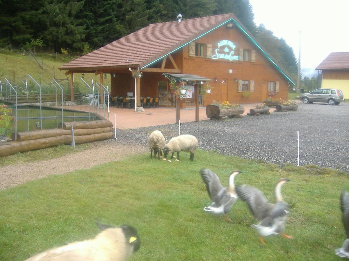 Les Gites De La Bergerie Xonrupt-Longemer Bagian luar foto